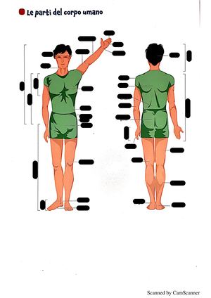 Personalizzato 2 Parti Del Corpo E Movimenti Fondamentali