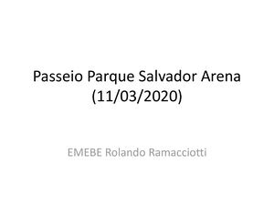 Passeio Parque Salvador Arena (11