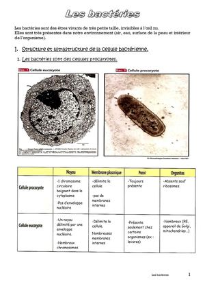 Bactéries I
