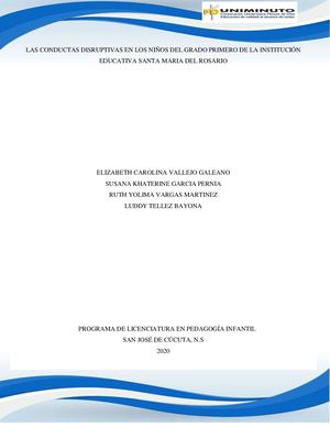 Proyecto Las Conductas Disruptivas Organizador Grafico