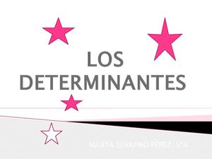 Los determinantes