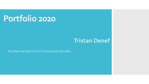 Portfolio 2020 Tristan Denef