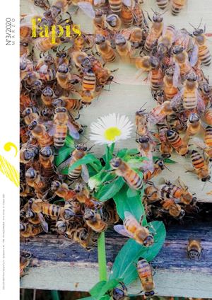 LAPIS 3 20 MARZO 2020