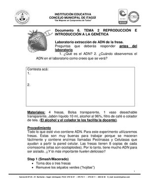 Tema 2 - 8° - Extracción ADN De La Fresa