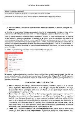 Taller Ciencias Naturales Noveno (1)