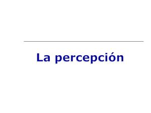 psd03 Percepción. (diapositivas)
