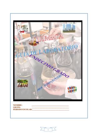 Manual De Lab De 11º