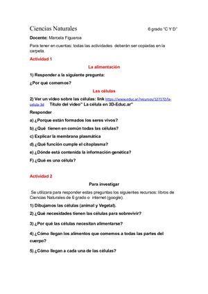 6 Actividades de Ciencias Naturales