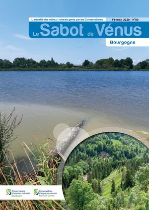 Sabot de Vénus 50 en Bourgogne