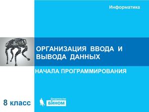 ОРГАНИЗАЦИЯ  ВВОДА  И ВЫВОДА  ДАННЫХ