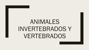 Animales Invertebrados Y Vertebrados