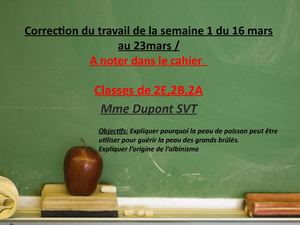 Correction Du Travail De La Semaine 1 2nde