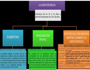 Mapa Conceptual