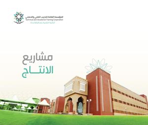 مشروع انتاجي