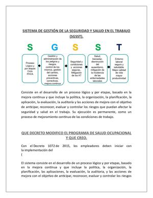 Sistema De Gestión De La Seguridad Y Salud En El Trabajo Ana Ruz