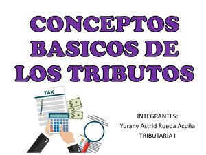 Conceptos Basicos De Los Tributos