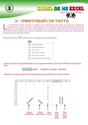 Orientación De Texto