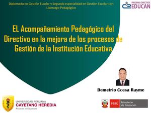 El Acompañamiento Pedagogico Del Directivo Ccesa007