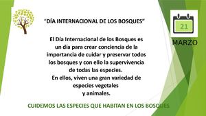 Dia Internacional De Los Bosques