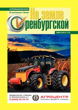 На земле Оренбургской, Январь 2020