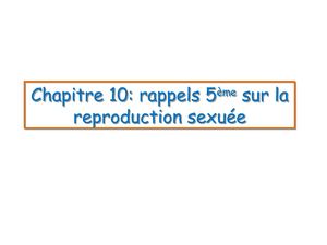 Chapitre 10 Rappels Reproduction 5eme