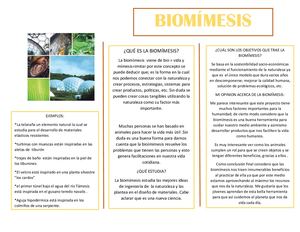 Biomímesis