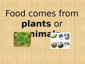 Foodcomesfromplantsoranimals 130116070613 Phpapp01