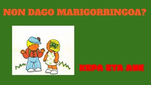 Non Dago Marigorringoa