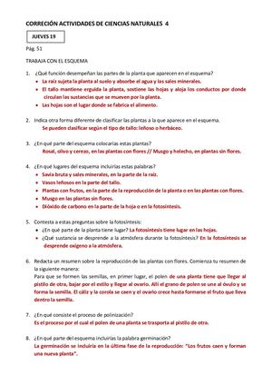 Corrección Naturales 4º Día 19