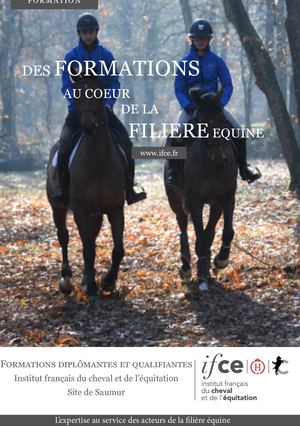 FORMATIONS IFCE Saumur 2020