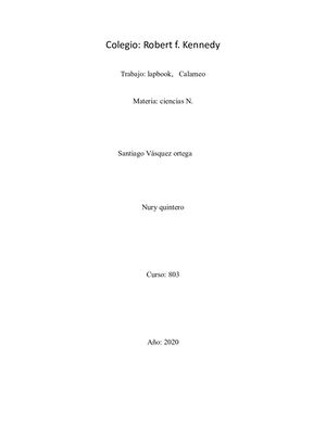 Trabajo Lapbook Santiago Vasquez