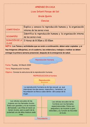 Grado Quinto Semana Del 24 Al 27