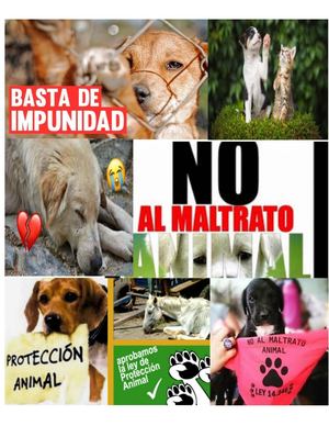 Di No Al Maltrato Animal