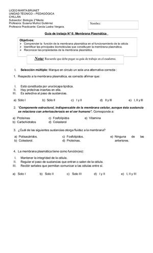 Guia De Membrana Plasmatica