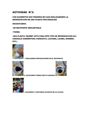 Actividad N 3 Taller De Huerta. Prof. María de los Ángeles Fara