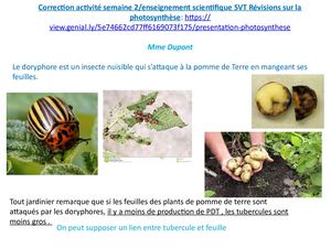 Correction Act Genially Photosynthèse