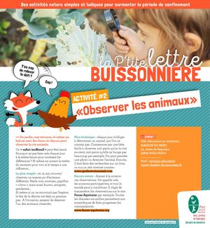 La Ptite Lettre Buissonnière 02 Observer Les Animaux