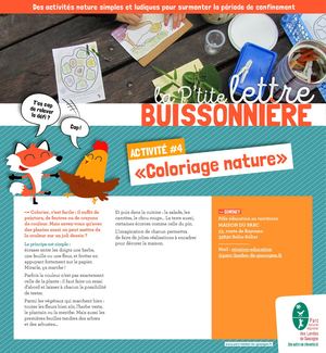 La Ptite Lettre Buissonnière 04 Coloriage Nature