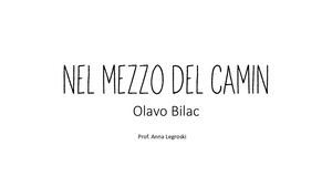 Nel Mezzo Del Camin - novo