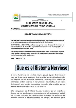 5° Madys Paola Cantillo CIENCIAS NATURALES