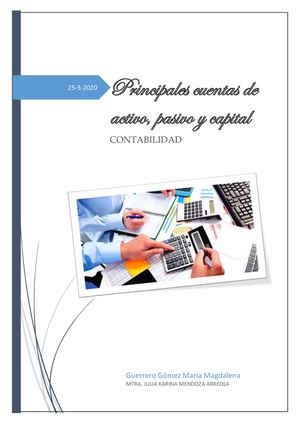 Principales Cuentas De Activo Y Pasivo