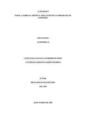 El Diseño Y La Aplicación De Un Programa De Auditoría