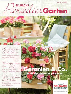 Paradies Garten 3/2020 Selbach