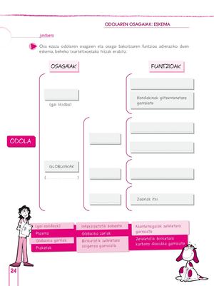 Eskema Txatiloia (1)