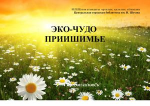 ЭКО ЧУДО ПРИИШИМЬЕ