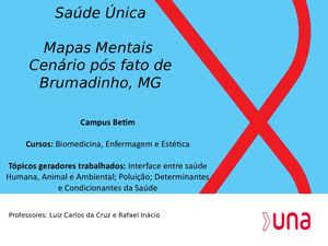 Mapas Mentais Saúde ÚNica