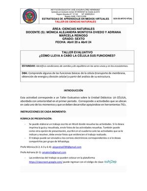 Taller Evaluativo Virtual Grado Sexto