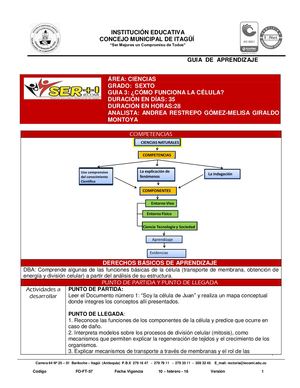 CIENCIAS 6.6 Guía Cómo Funciona La Célula