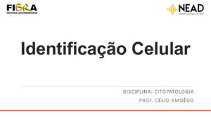 Atividade Aula 2 Identificação Celular Nead Fibra 2020