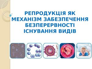 биол 10 кл 02 04 2020